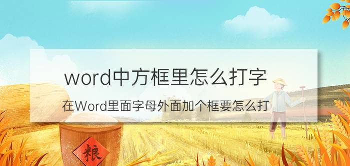 word中方框里怎么打字 在Word里面字母外面加个框要怎么打？